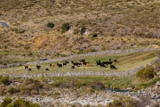 gredos-13_22008980350_o