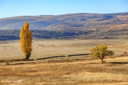 gredos-8_22184331192_o