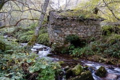 Molino en Villar de Arbas