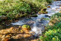 Río en Villar de Arbas