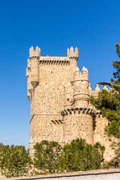 MG_3398